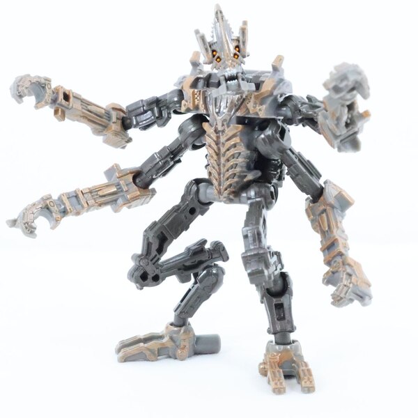 Review Image Of Transformers Studio Series Rise Of The Beasts Core Class Freezer   (1 of 12)